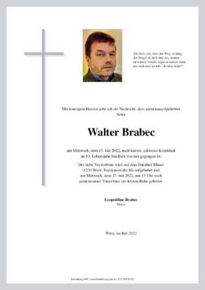 Traueranzeige von Walter Brabec