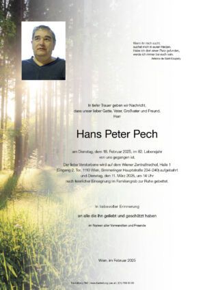 Traueranzeige von Hans Pech
