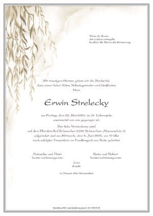 Traueranzeige von Erwin Strelecky