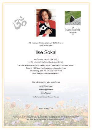 Traueranzeige von Ilse Sokal