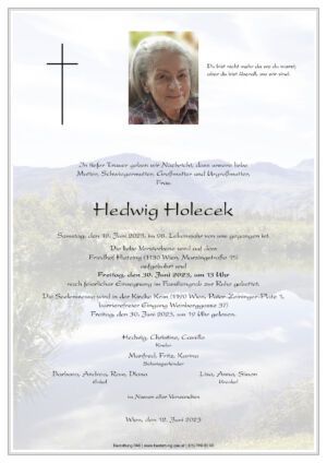 Traueranzeige von Hedwig Holecek
