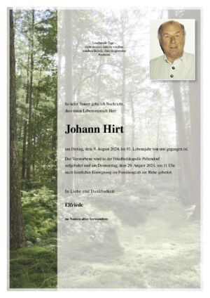 Traueranzeige von Johann Hirt