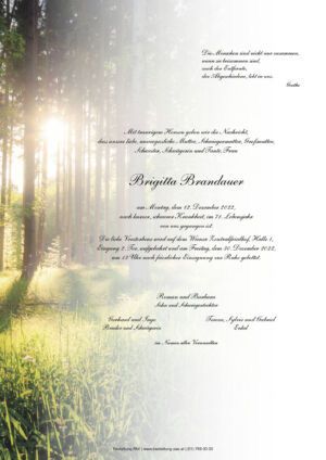 Traueranzeige von Brigitta Brandauer