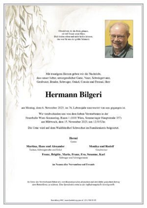 Traueranzeige von Hermann Bilgeri
