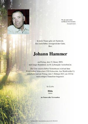 Traueranzeige von Johann Hammer