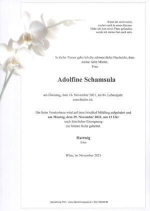Traueranzeige von Adolfine Schamsula