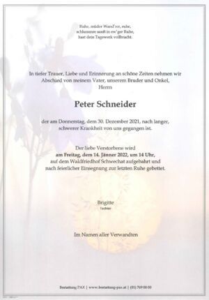 Traueranzeige von Peter Schneider
