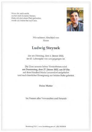 Traueranzeige von Ludwig Steynek